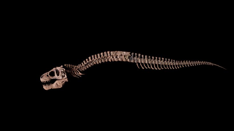 Trex modeling in ZBrush, rendering in Karma 4