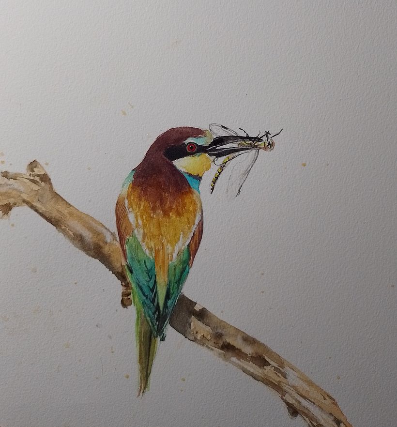 My project for course: Artistic Watercolor Techniques for Illustrating Birds 1