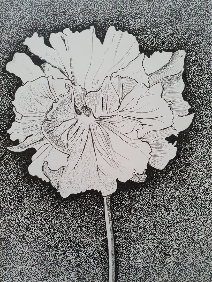 Bloom  6