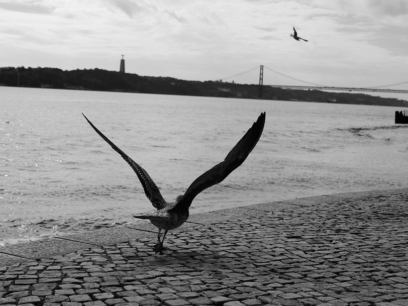 Lisbon's spirit 2