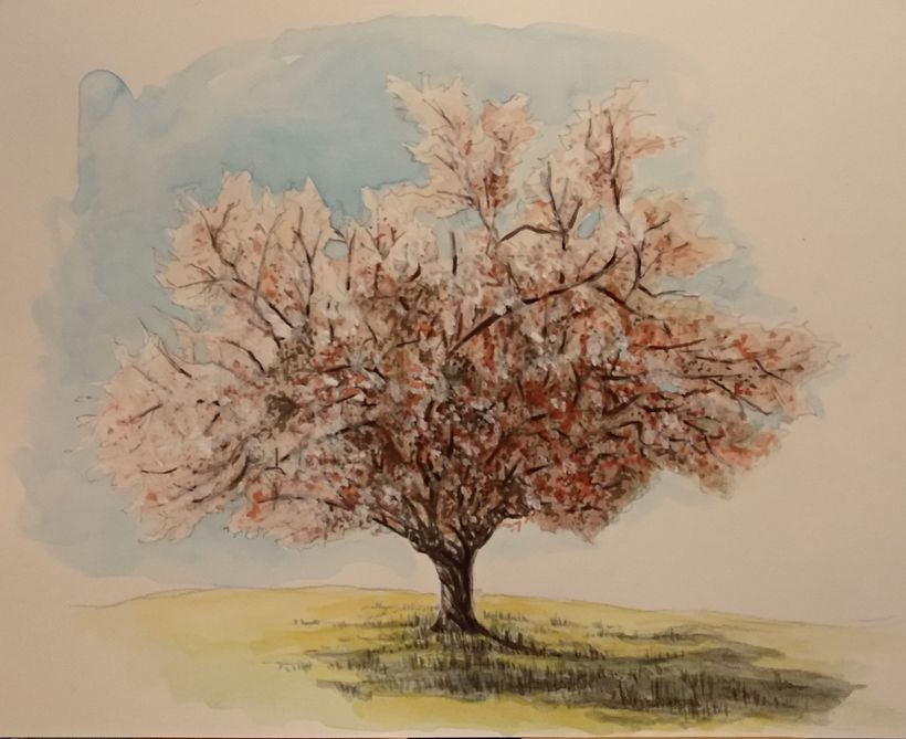 Il mio progetto del corso: Pittura ad acquerello: esplora le tecniche del pennello asciutto 1