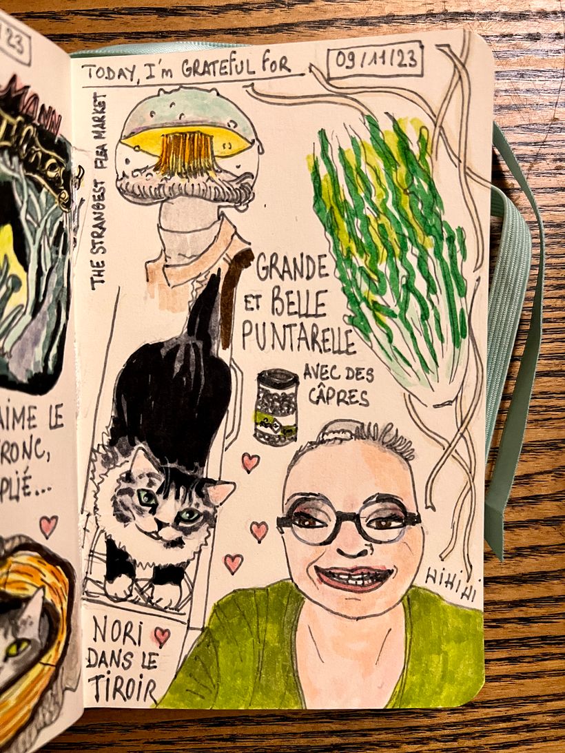 I take a stroll at The Strangest Flea Market, Nori the cat climbs into a drawer, I prepare and cook a strange vegetable