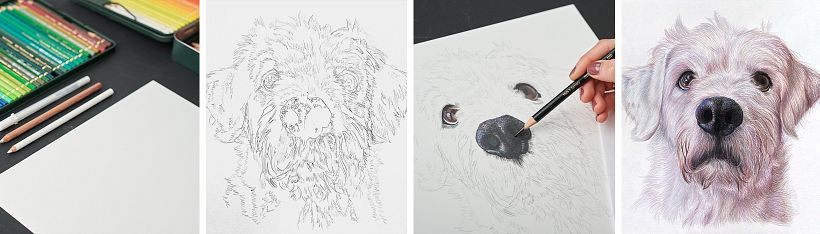 How to capture your pet's personality in a portrait 3