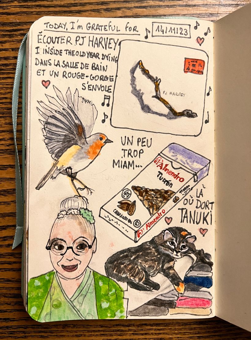 While listening to PJ Harvey's fabulous album, a robin takes off in the garden. I nibble Turron, and Tanuki selects a bed