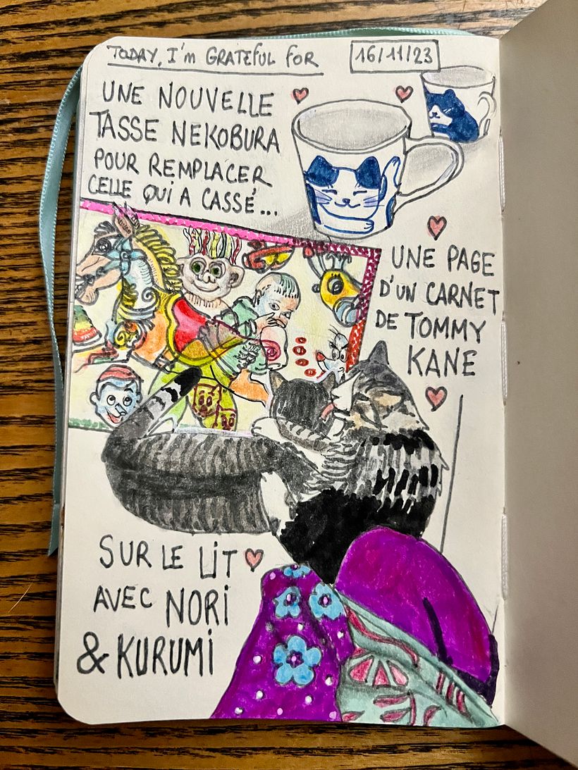 The replacement japanese tea cup arrives, I love a page from Tommy Kane sketchbook, play with our cats on the bed