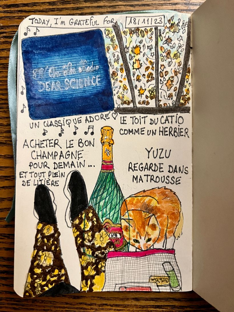 Listening to TV on the Radio, the catio's roof is like a pressed leaves book, I buy champagne for tomorrow