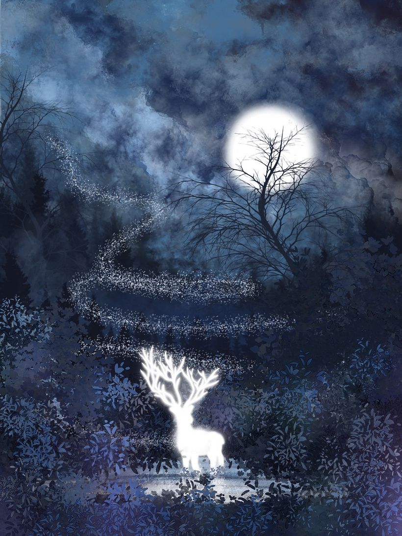 Enchanted forest 2