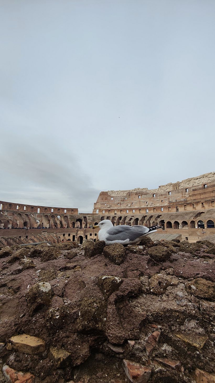 Mi proyecto del curso: Fotografía urbana con smartphone: color y composición en Roma 3