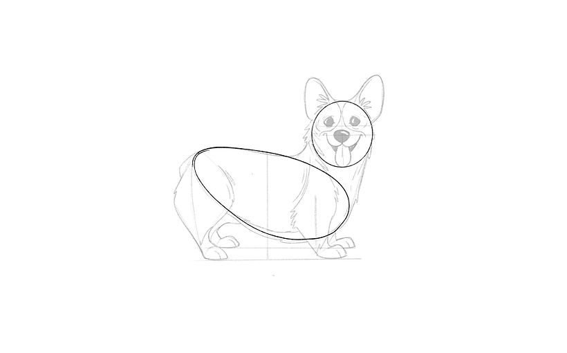 Tutorial descargable: Cómo dibujar un Corgi paso a paso 6