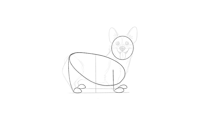 Tutorial descargable: Cómo dibujar un Corgi paso a paso 10