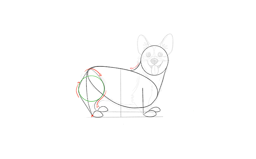 Tutorial descargable: Cómo dibujar un Corgi paso a paso 12