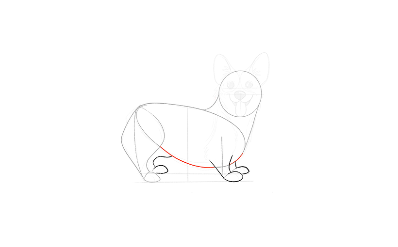 Tutorial descargable: Cómo dibujar un Corgi paso a paso 14