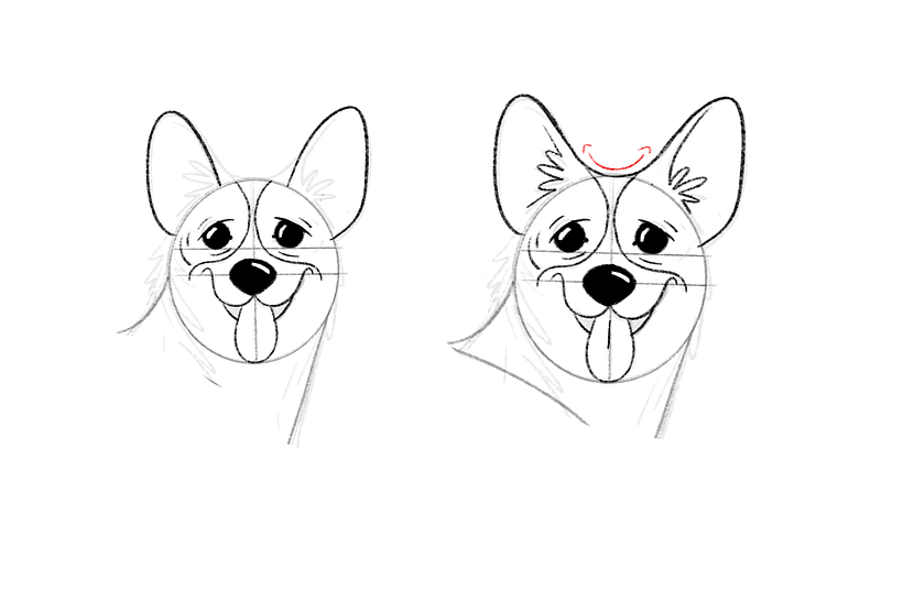 Tutorial descargable: Cómo dibujar un Corgi paso a paso 18