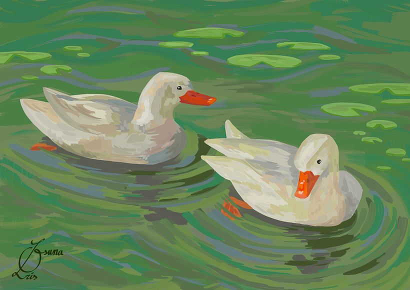 Patos en un lago  1