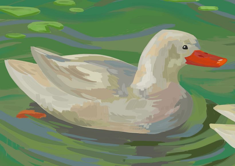 Patos en un lago  3