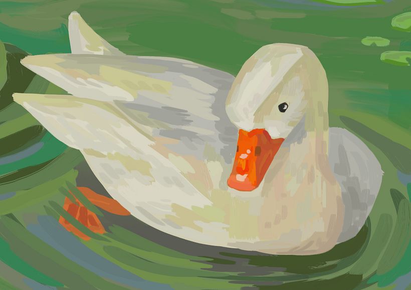 Patos en un lago  3