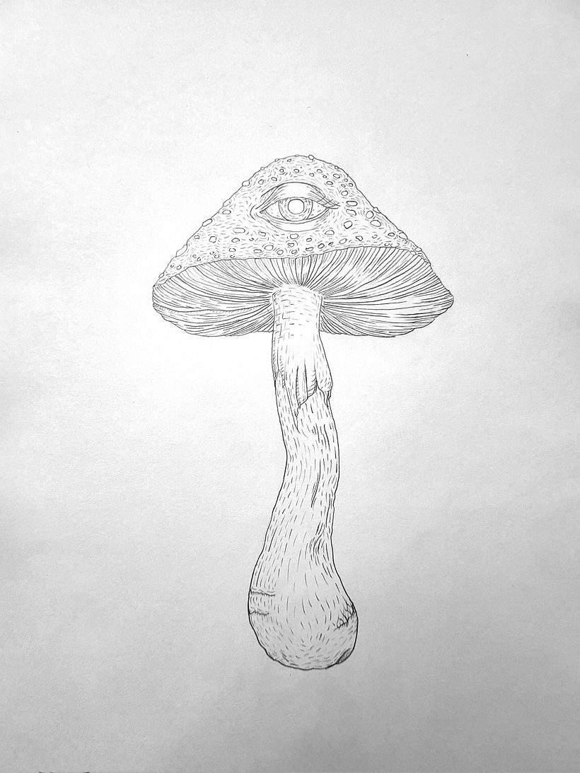 Mój projekt z kursu: Ilustracja przyrody techniką digital painting 3
