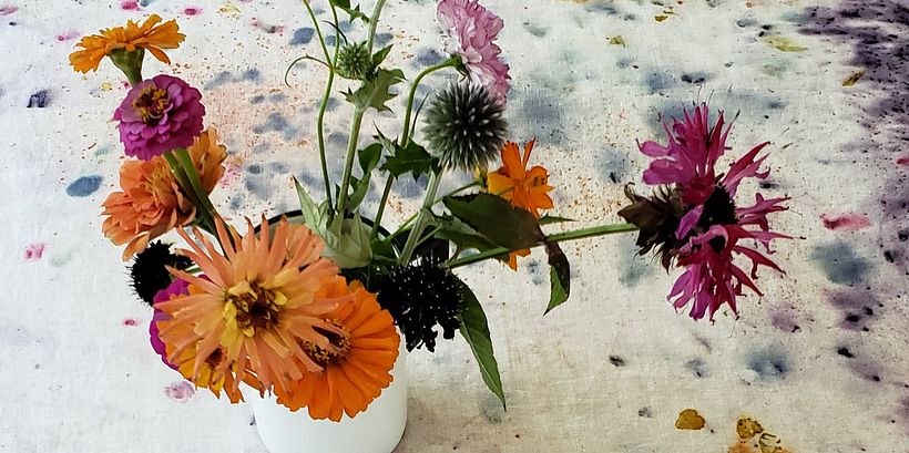 Free PDF: Plant and Color Guide 5