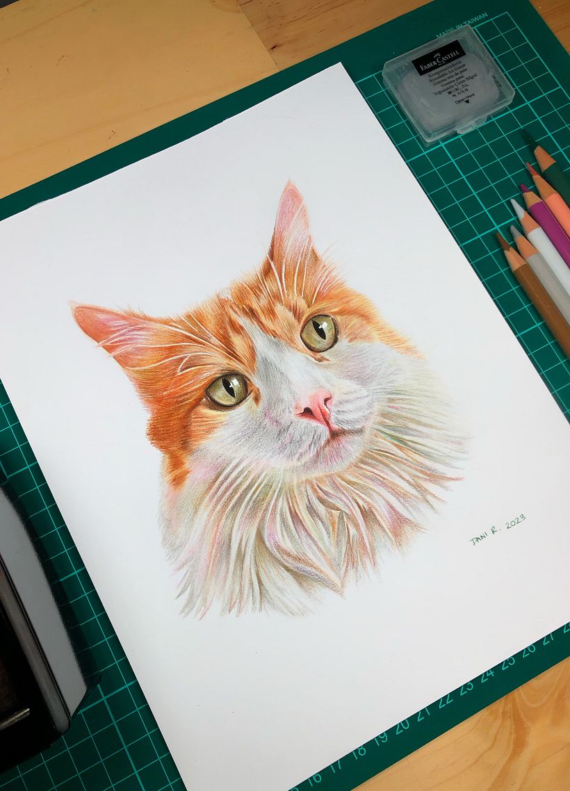 Mi proyecto del curso: Retratos de Mascotas en Lápices de Colores 1
