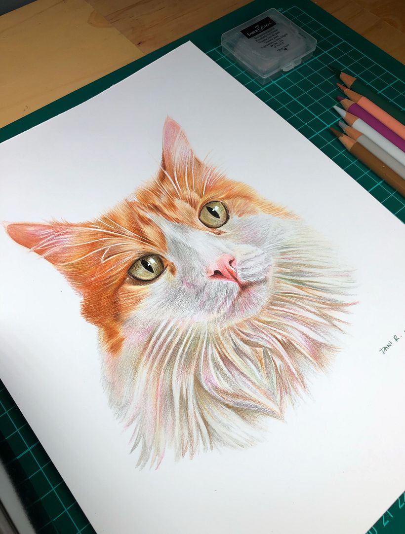 Mi proyecto del curso: Retratos de Mascotas en Lápices de Colores 2