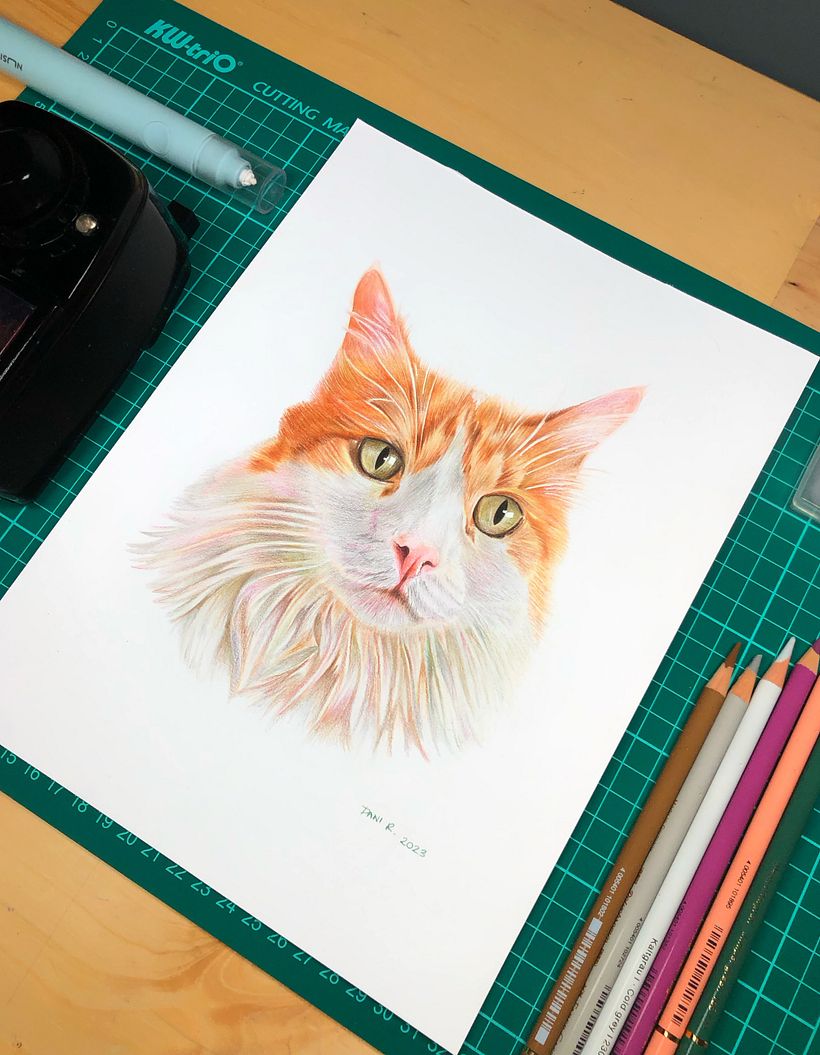 Mi proyecto del curso: Retratos de Mascotas en Lápices de Colores 3