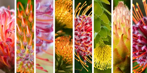 10 ideas paisajísticas para transformar su espacio exterior 14