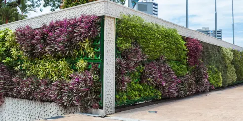 10 ideas paisajísticas para transformar su espacio exterior 16