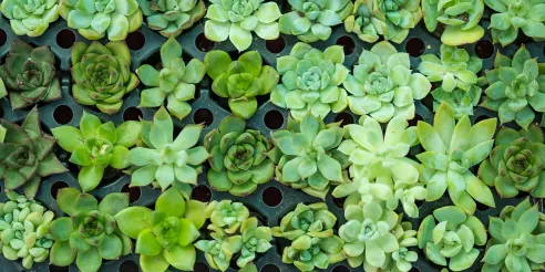 10 ideas paisajísticas para transformar su espacio exterior 20