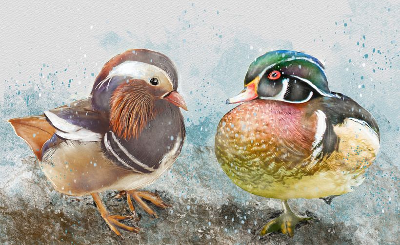 My project for course: Artistic Watercolor Techniques for Illustrating Birds 3