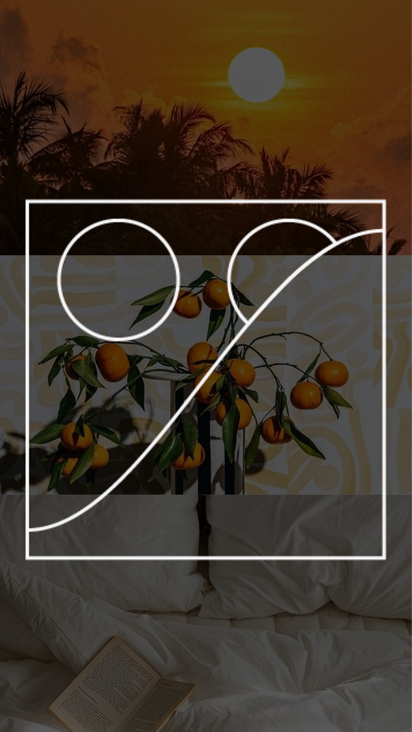 Mi proyecto del curso: Principios de conceptualización y branding 11