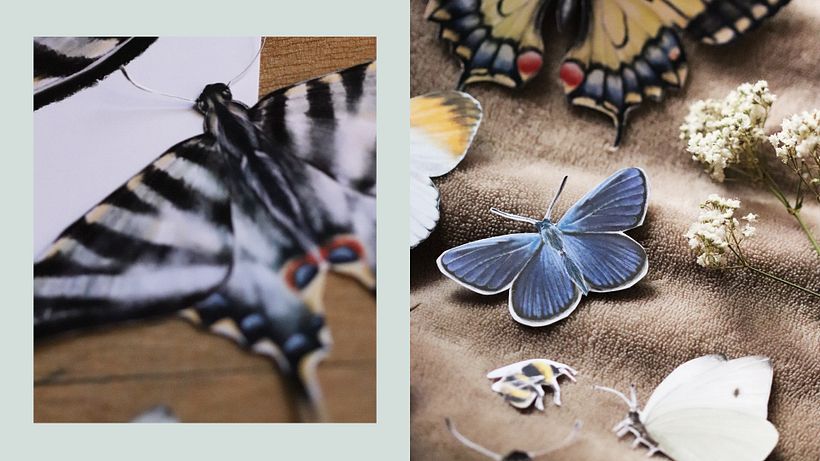 Boda Lola y Pedro ❤️ 14