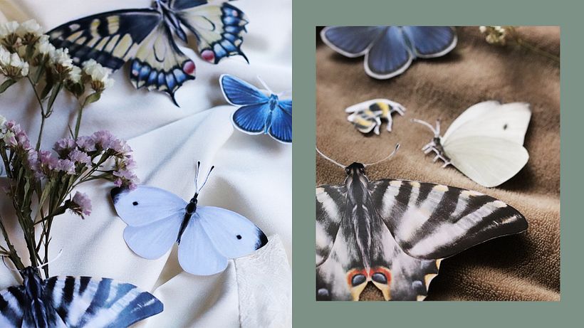 Boda Lola y Pedro ❤️ 15