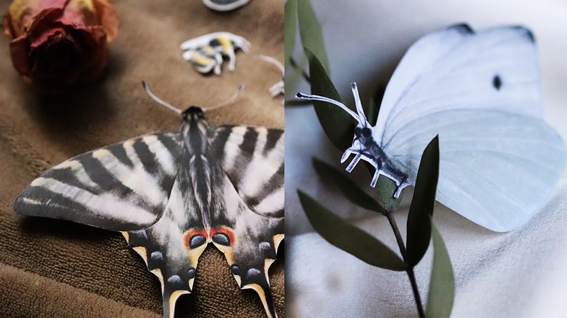 Boda Lola y Pedro ❤️ 16