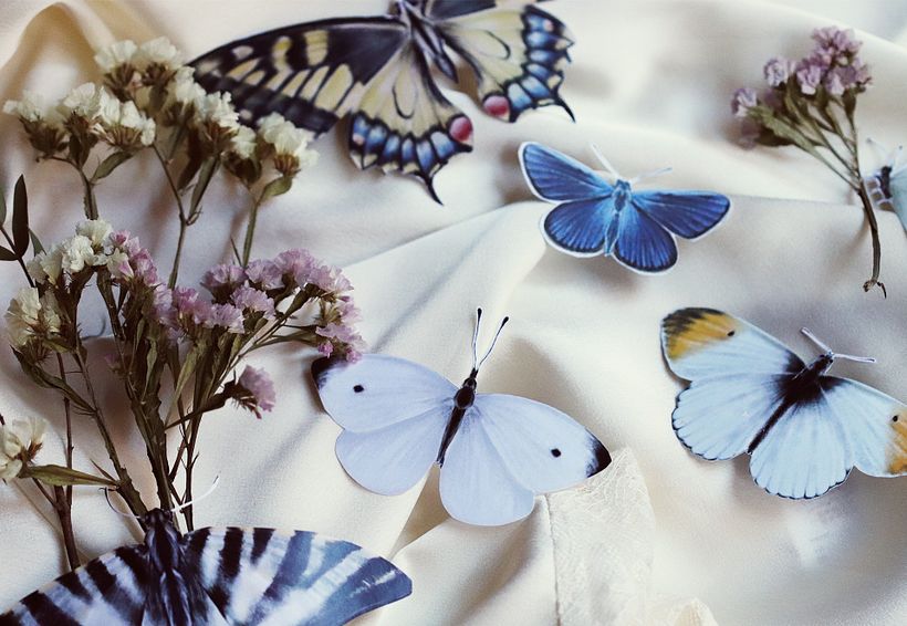 Boda Lola y Pedro ❤️ 17