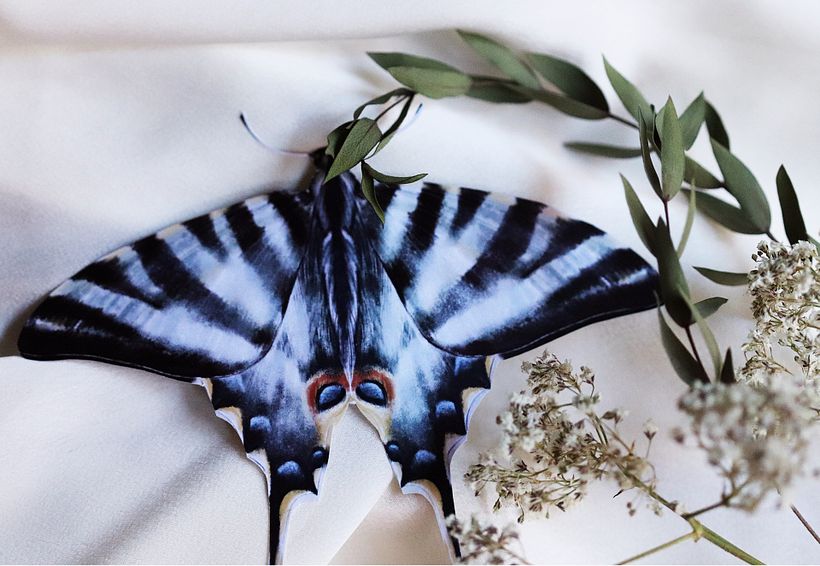 Boda Lola y Pedro ❤️ 18