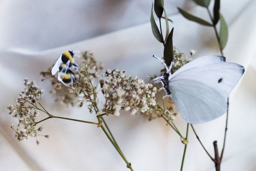 Boda Lola y Pedro ❤️ 19
