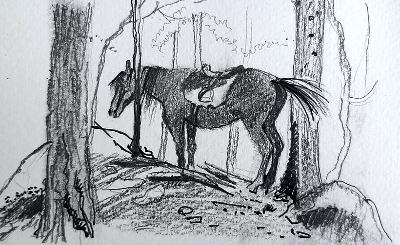 Horse sketch after editing.