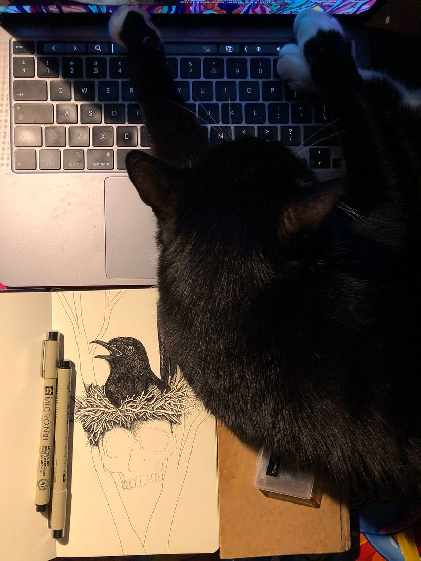 My cat "helping" me...