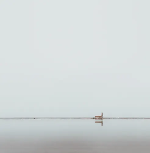 This image, taken in the Albufera de València, flees from the typical sunset of the area (Photo: Emilio Chuliá).