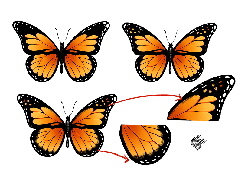 Tutorial: Cómo dibujar mariposas (+ Descarga gratuita) 3