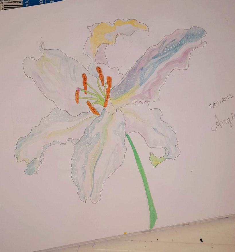 Mi proyecto del curso: Sketchbook botánico: una aproximación meditativa 5