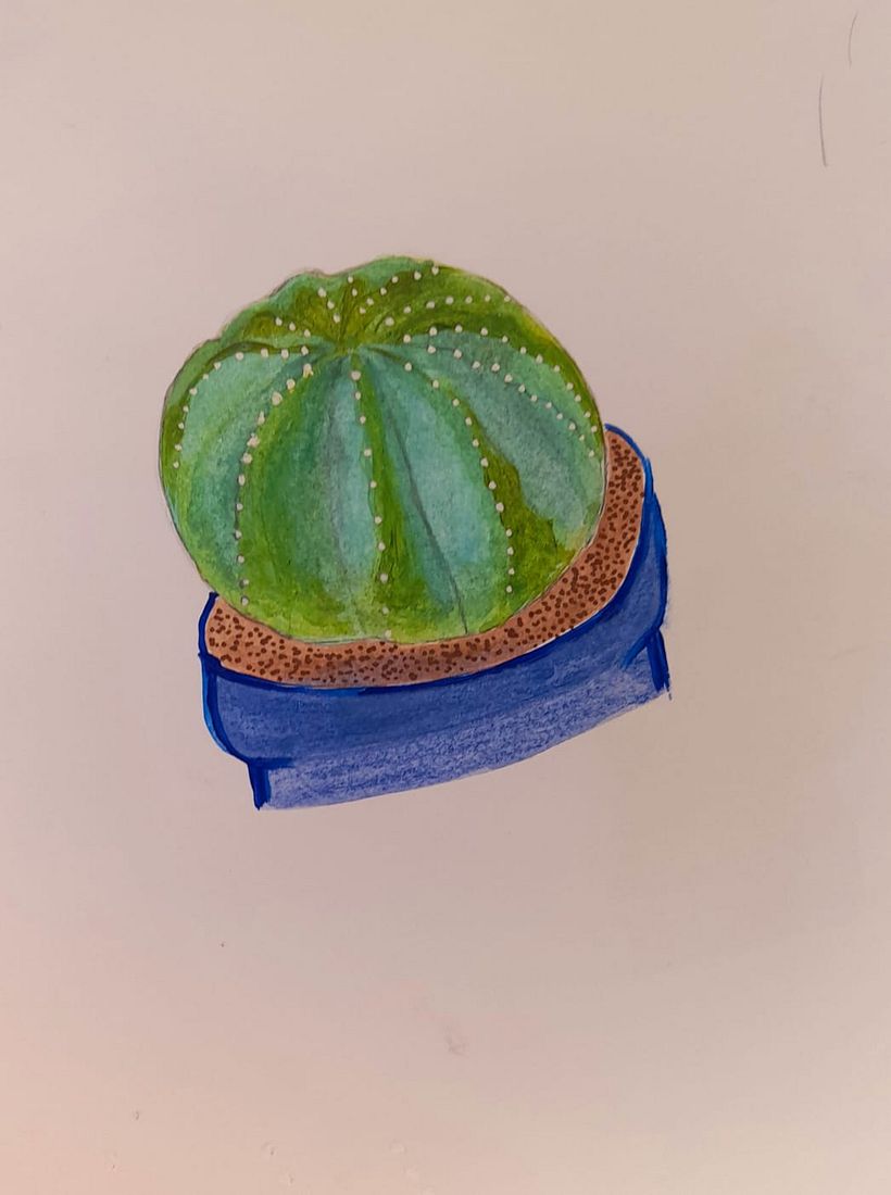 Mi proyecto del curso: Sketchbook botánico: una aproximación meditativa 6