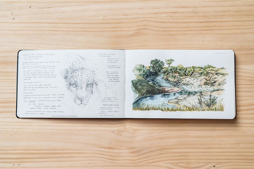 Mes 10 fournitures d'aquarelle essentielles pour tous les artistes 3