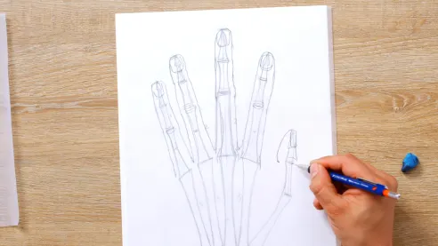 Tutorial Anatomical drawing: how to draw a hand 9