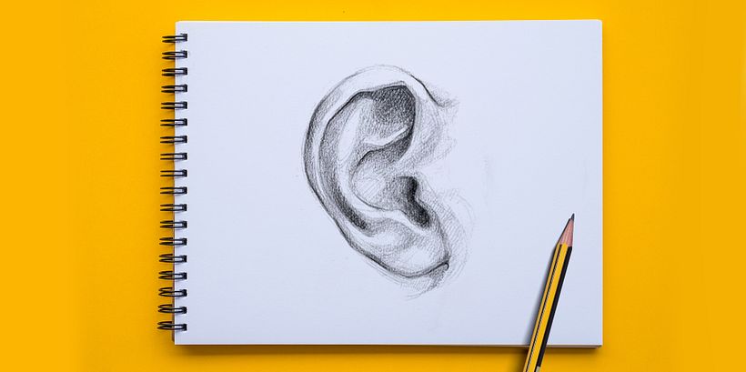 how to draw ears guide