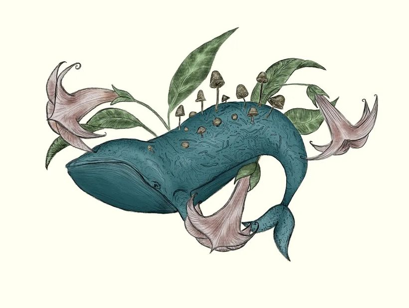 Ballena - Ilustración tradicional