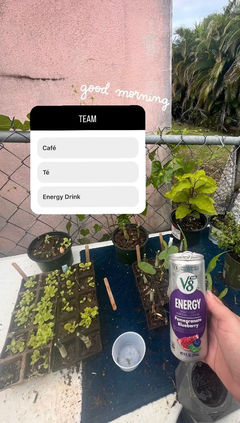My project for course: Content Creation and Editing for Instagram Stories 2