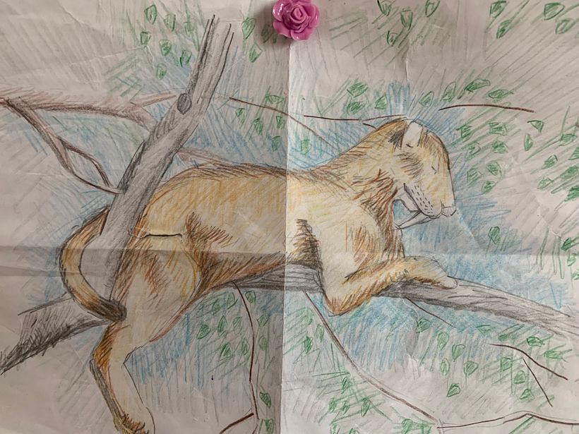 Saber Tooth Tiger – Rescued from the garbage can.