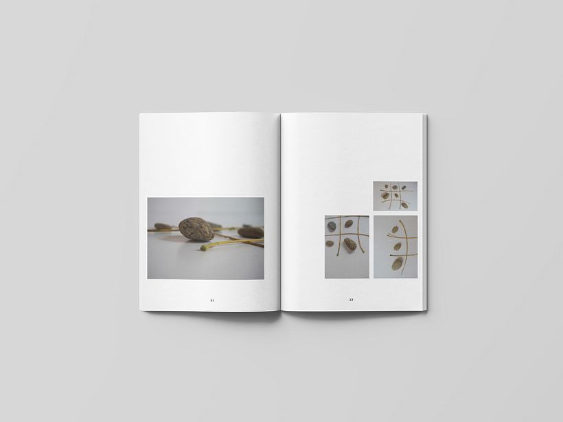 DESCOMPONER PARA COMPONER 3