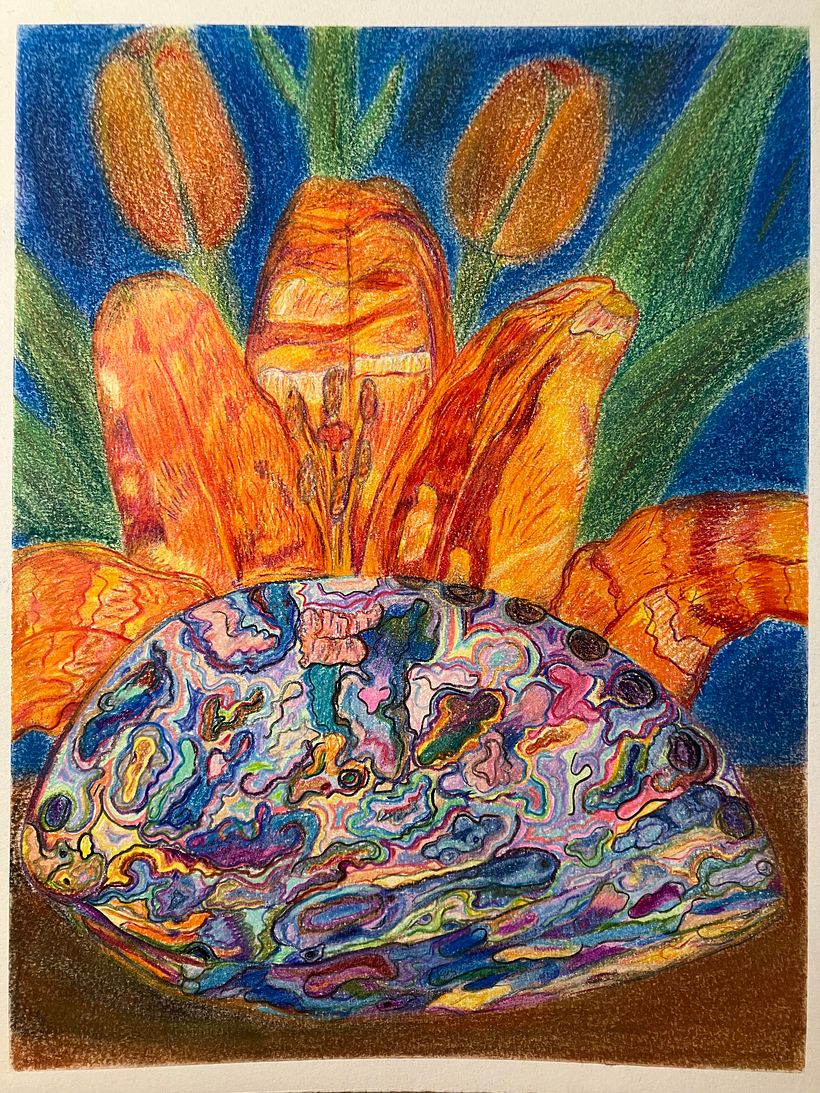 Abalone seashell and Tiger Lily - Geleneksel illüstrasyon
